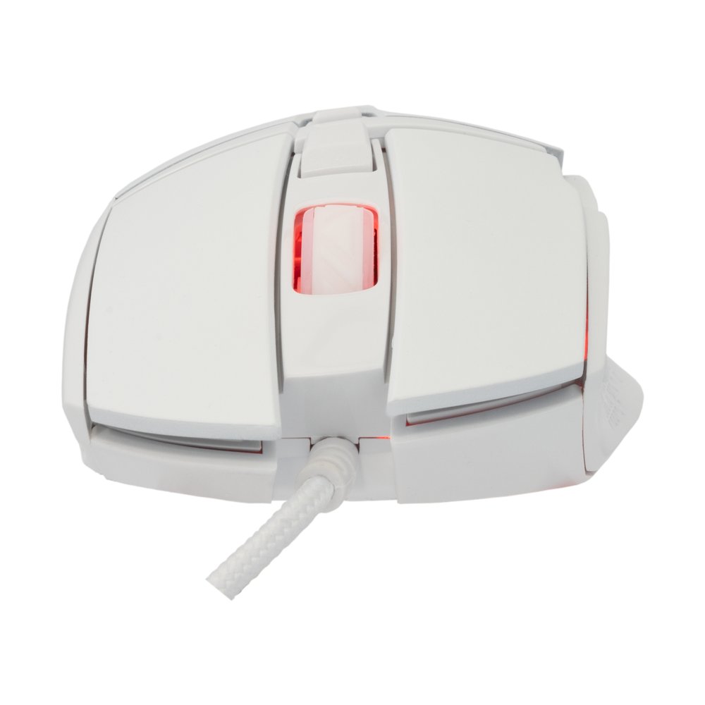 Baracuda RAPTOR RGB | Bedrade Gaming Muis | USB-A | 6400 DPI | Wit