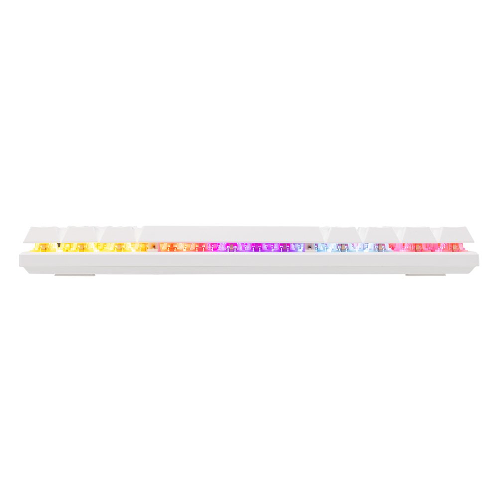 Baracuda DOLPHIN RGB 60% | Bedraad Gaming Toetsenbord | Red Switches | Anti-Ghosting | QWERTY | Wit