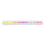 Baracuda DOLPHIN RGB 60% | Bedraad Gaming Toetsenbord | Red Switches | Anti-Ghosting | QWERTY | Wit